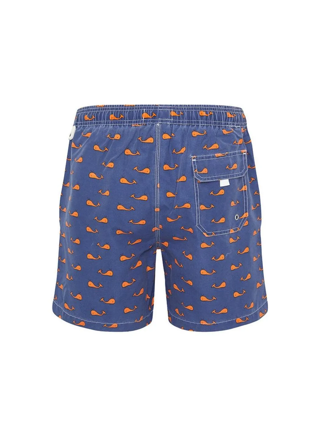 BAÑADOR ESTAMPADO BALLENA AZUL KIFFKIFF
