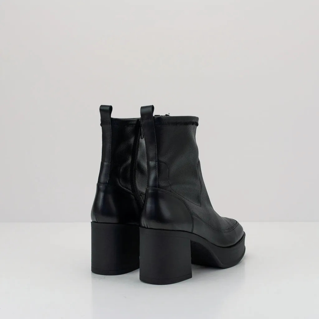 BOTIN  SEIALE  MARAXE