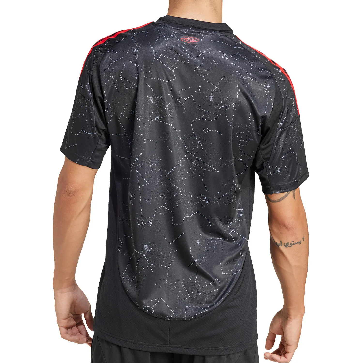 Camiseta adidas 2a Benfica 2024 2025 sin Sponsor