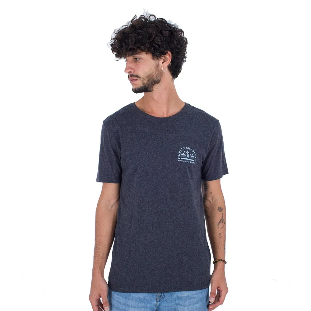 Camiseta Hurley Everyday Born To Hula Black Heather