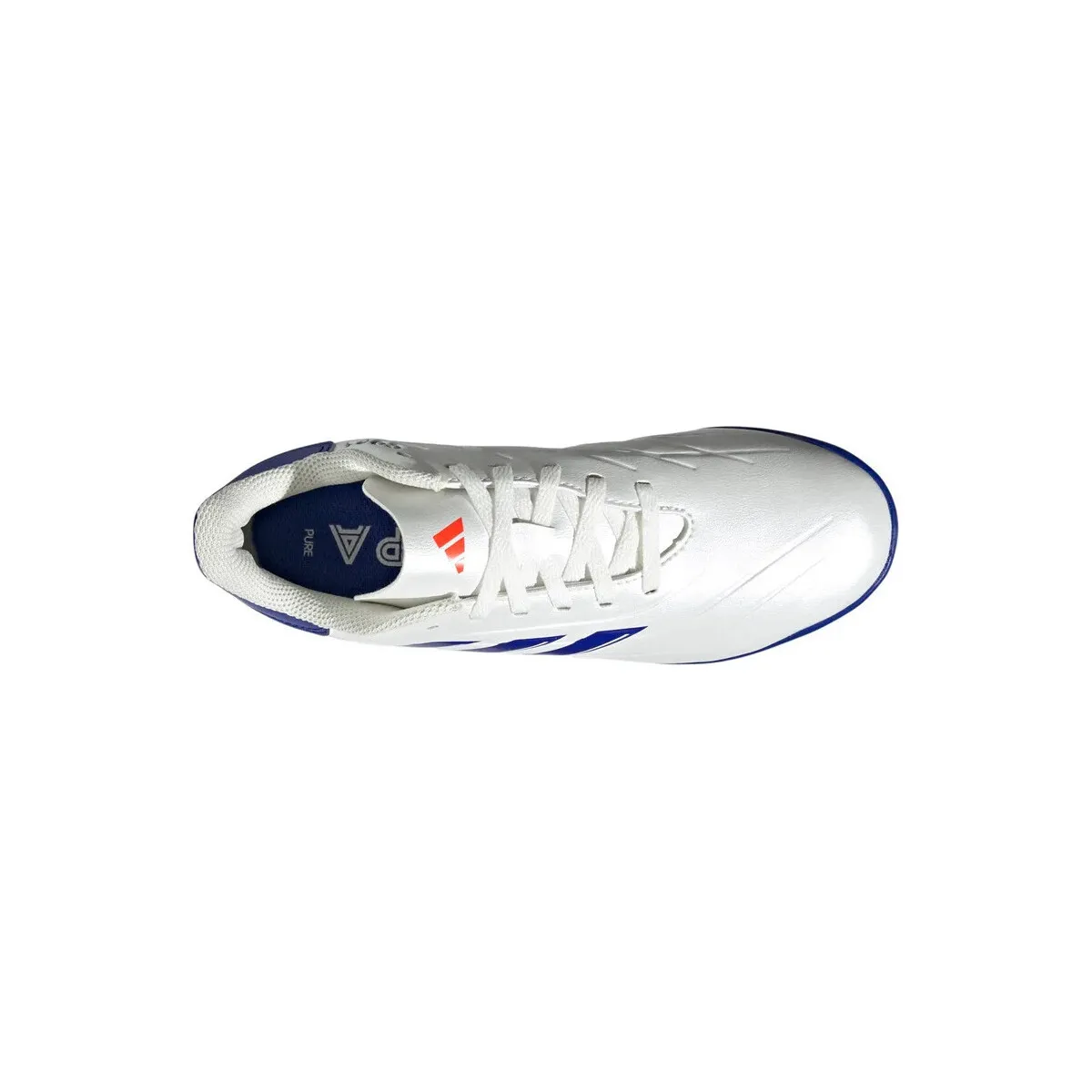 COPA PURE CLUB IN JR BLAZ