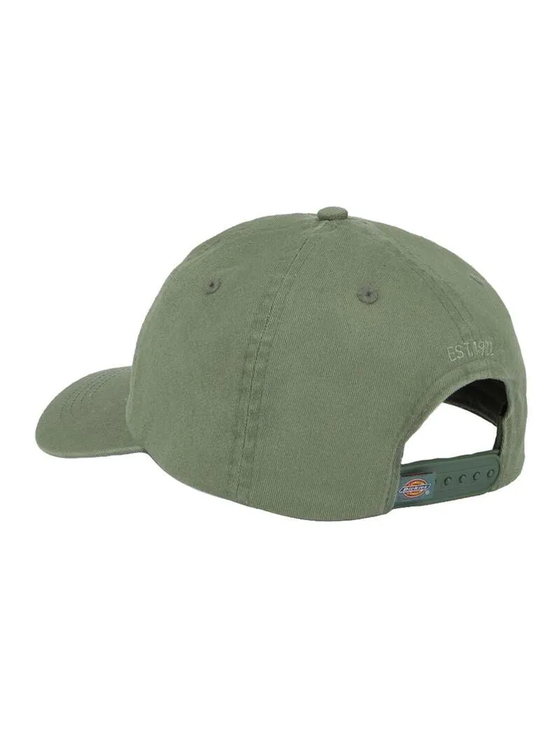 Gorra Unisex Dickies Hardwick Verde