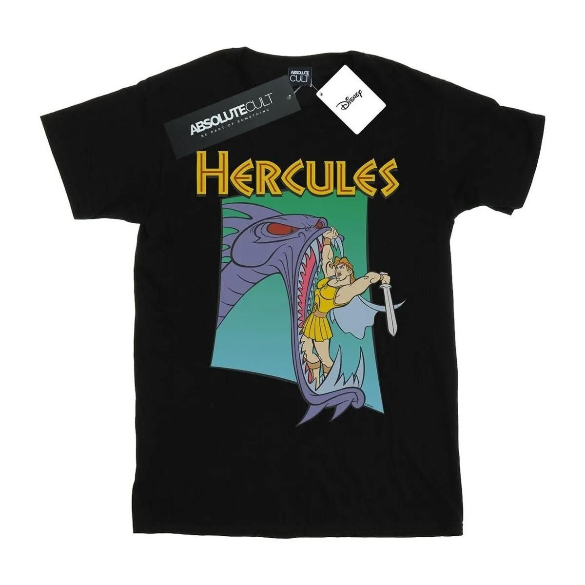 Hercules Hydra Fight