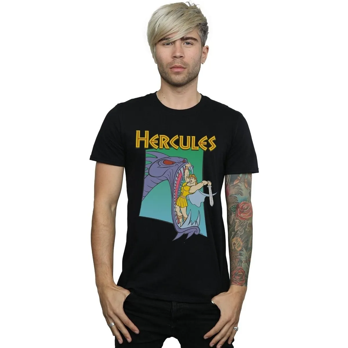 Hercules Hydra Fight