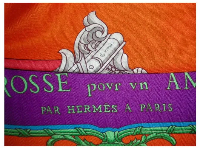 Hermès Gran entrenador para un embajador Multicolor 