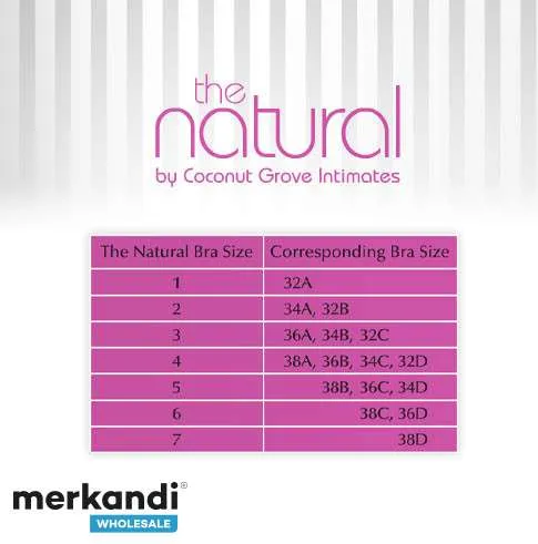 LENCERíA  SUJETADORES ADHESIVOS DESNUDOS 'THE NATURAL' LITE   SUJETADOR SIN TIRANTES