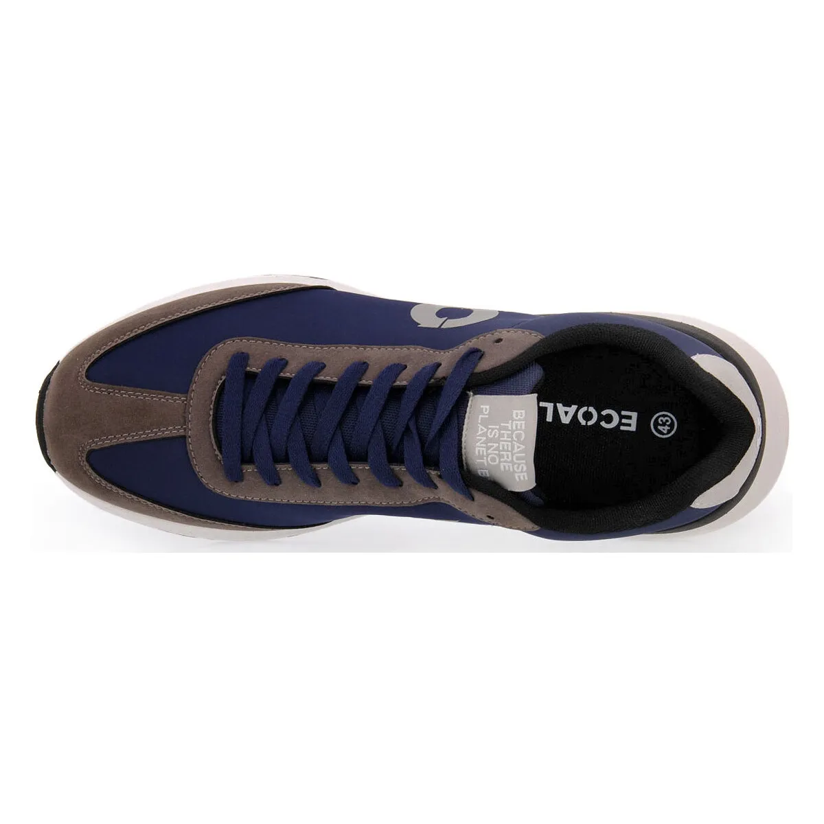 NAVY GREY PRINCEALF