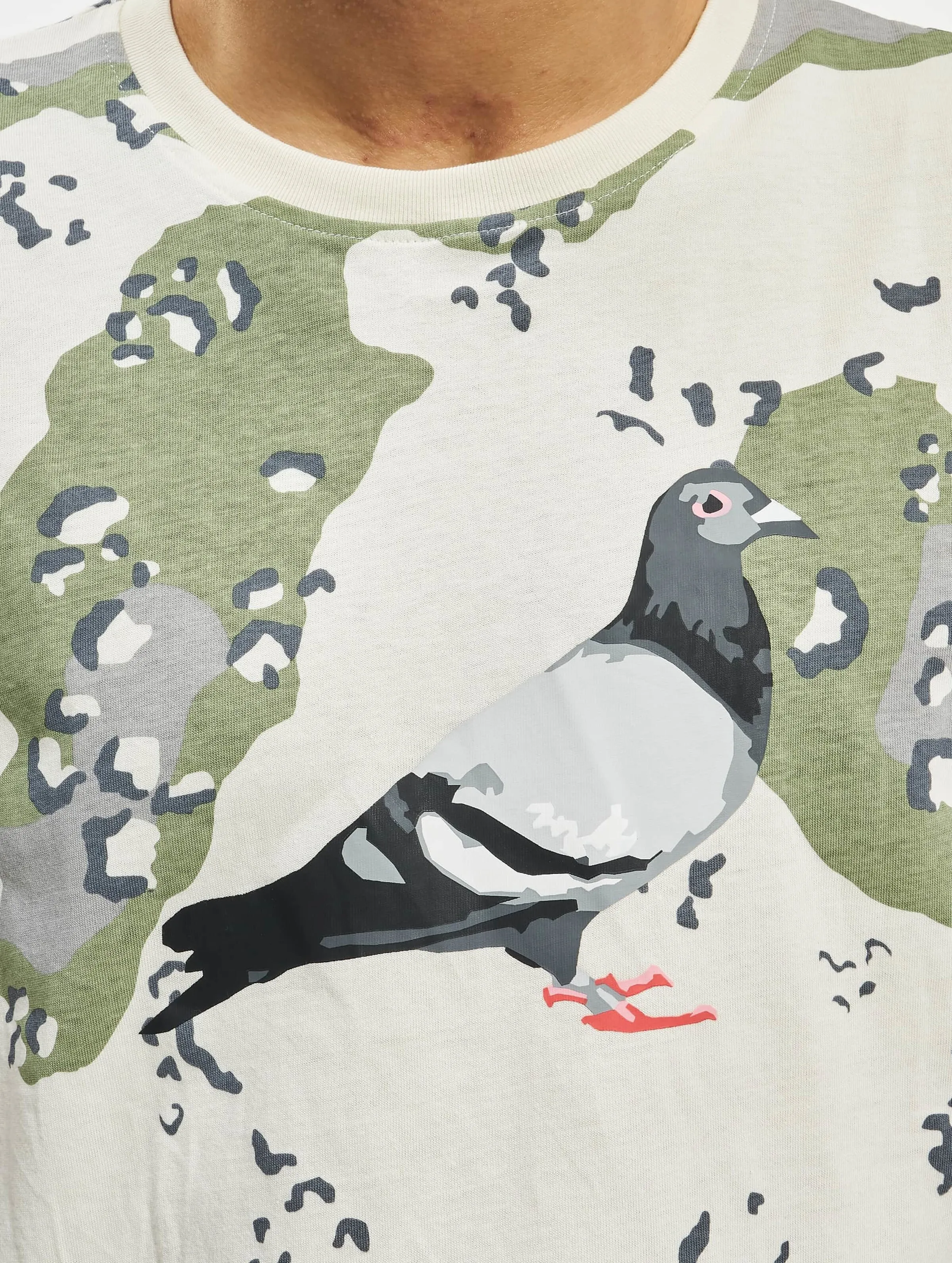 Pigeon Logo